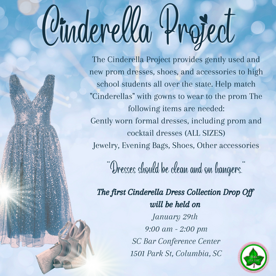 Flyer of the Cinderella Project event
